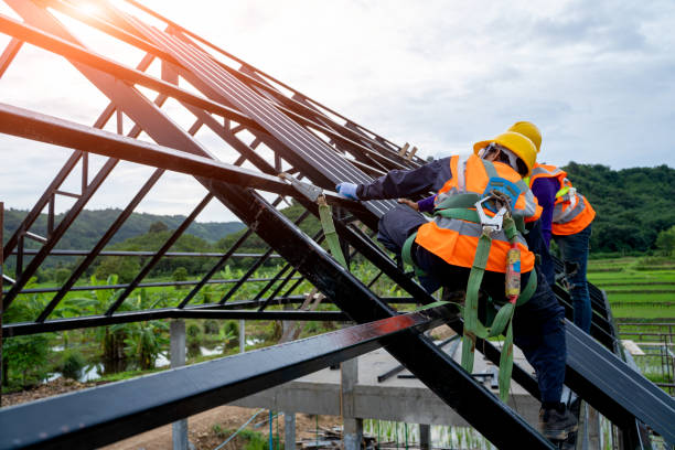 Professional Roofing Contractor in Fox Lake, IL