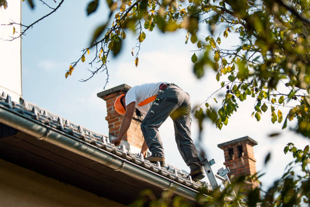 Best Shingle Roofing Installation  in Fox Lake, IL