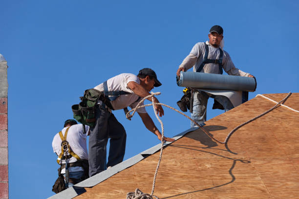 Best Metal Roofing Contractor  in Fox Lake, IL