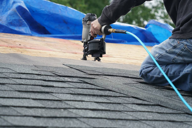 Best Affordable Roof Replacement  in Fox Lake, IL