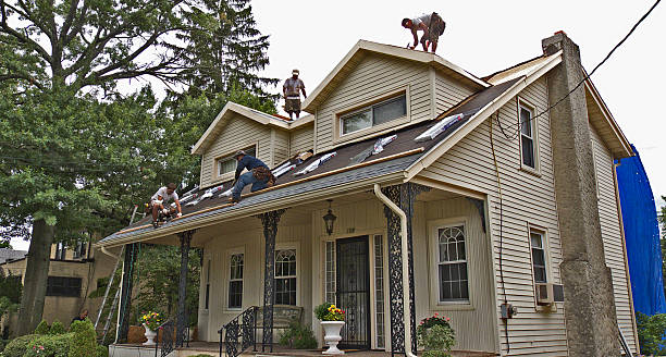 Best Storm Damage Roof Repair  in Fox Lake, IL